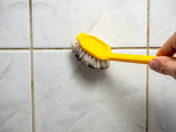Professional Mold Removal in Butler, NJ