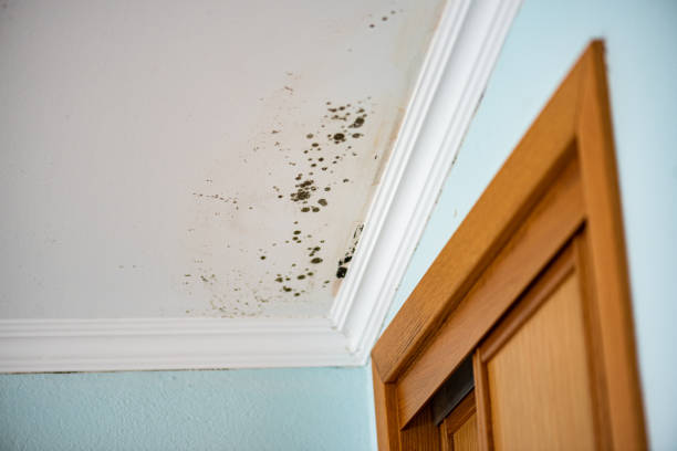 Water Damage Restoration