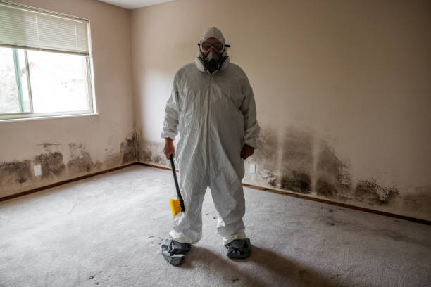 Best Attic Mold Removal  in Butler, NJ